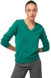 Kasjmier dames kasjmier basic pullovers voor lage prijzen tessa first botanical l