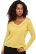 Kasjmier dames kasjmier pullover met v hals flavie tournesol 