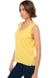 Kasjmier dames kasjmier pullover met v hals saige daffodil s