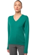 Kasjmier dames kasjmier pullover met v hals tessa first botanical xs