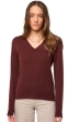 Kasjmier dames kasjmier pullover met v hals tessa first cinnabar m