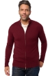 Kasjmier heren kasjmier basic pullovers voor lage prijzen thobias first deep violet 2xl