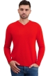 Kasjmier heren kasjmier basic pullovers voor lage prijzen tour first tomato 2xl