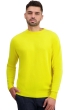 Kasjmier heren kasjmier pullover met ronde hals nestor jaune citric l