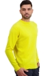 Kasjmier heren kasjmier pullover met ronde hals nestor jaune citric xl