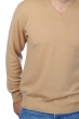 Kasjmier heren kasjmier pullover met v hals gaspard camel 